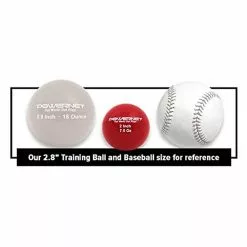PowerNet 2" Micro Weighted Hitting and Batting Training Ball (6 Pack): 1065 -Deals BaseBallBat Store 416ZCfhFsTL