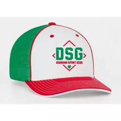 Champro Sports Sublimated Juice Package 2: JUICE2 -Deals BaseBallBat Store DSG HATS xmas 26df5c7c f698 4b39 9d24 4c25d4d8c8b6