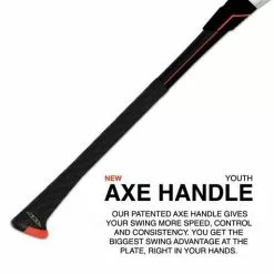 2021 AXE Avenge Pro -8 (2 3/4") USSSA Baseball Bat: L173J -Deals BaseBallBat Store L173J1