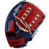 Rawlings Heart of the Hide 12.5" DSG Exclusive Fastpitch Glove: PRO125KR-18RWBDSG