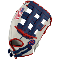 Rawlings Heart of the Hide 12.5" DSG Exclusive Fastpitch Glove: PRO125SB-6USA21