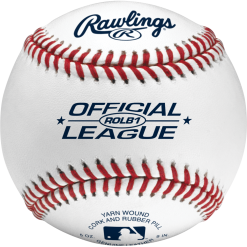 Rawlings ROLB1 Official League Baseballs: ROLB1