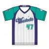 Champro Sports Champro Custom Sublimated V Neck Juice Uniforms: JUICE V -Deals BaseBallBat Store SJ BS4S1F