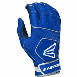 Easton Walk Off NX Youth Batting Gloves: A121262 17 Easton Walk Off NX Youth Batting Gloves: A121262 -Deals BaseBallBat Store WALKOFFNX RY RY A121254 backcopy bf61dd29 9b0e 46ae ab65 cb6a7d6c5001